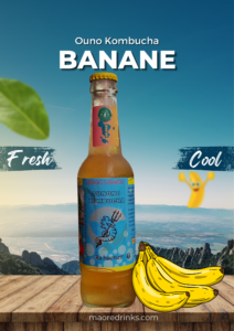 bouteille de kombucha Mayotte